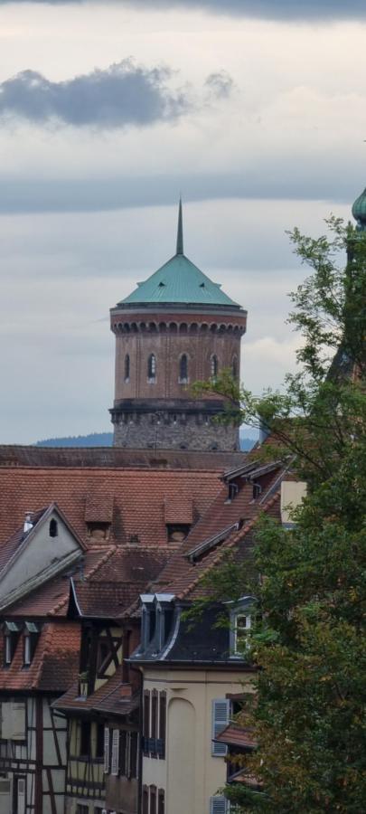 Appartement Grenier A Sel Gentleman Colmar Exteriér fotografie