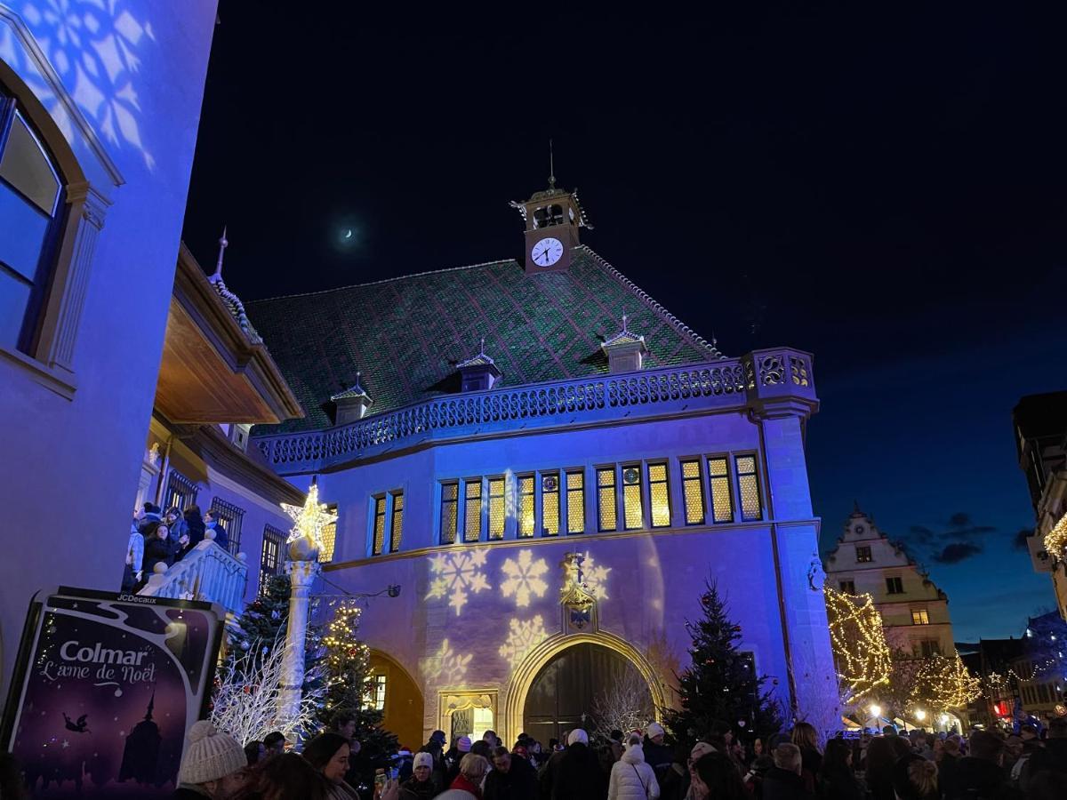 Appartement Grenier A Sel Gentleman Colmar Exteriér fotografie